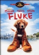 Fluke